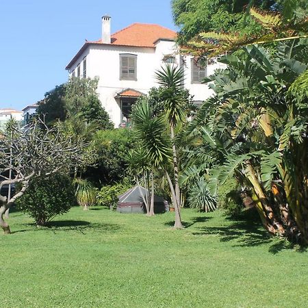 Jasmineiro - Palms Palace Apartment Funchal  Exterior photo